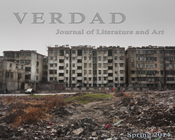 cover of Verdad Volume sixteen